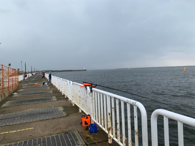 ツバスのませ時々タコ