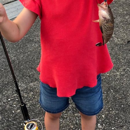 ファミリーフィッシング