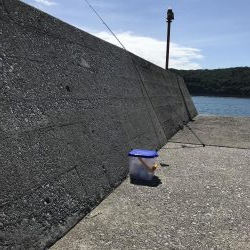 初夜釣りでいろいろ釣れた！