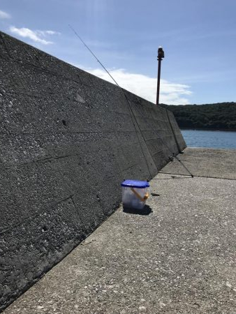 初夜釣りでいろいろ釣れた！