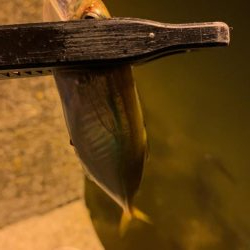 まさかのメッキ