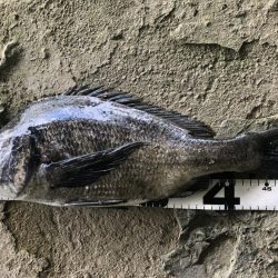 イチノ兄弟、釣果！