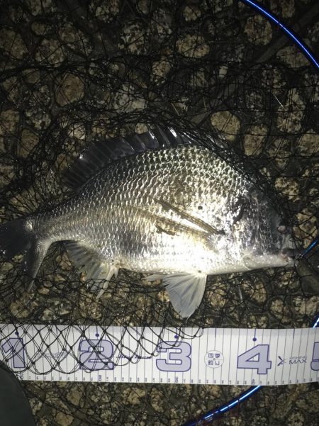 ゲリラ豪雨の後すかさず