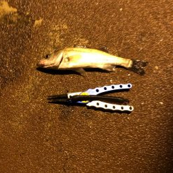 小さいのしか釣れない