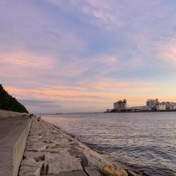 でかいシーバス！！！