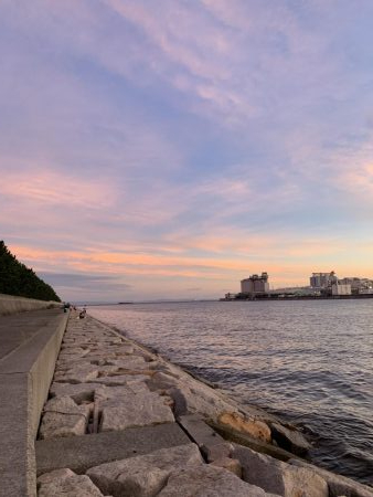 でかいシーバス！！！