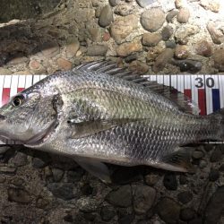 今週も釣れたー‼︎