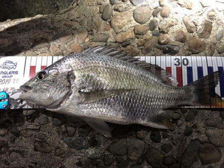 今週も釣れたー‼︎