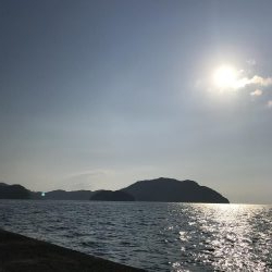 新子調査してきました。