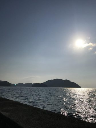 新子調査してきました。