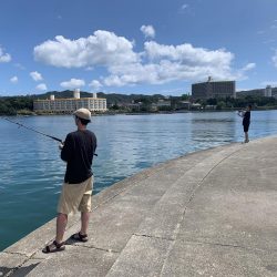 ショアジギング