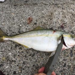 バイブレーション‼️