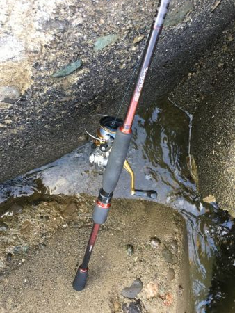 フルドラグがでていきました！