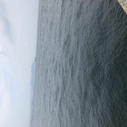 今年初の淡路島