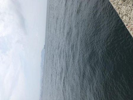 今年初の淡路島