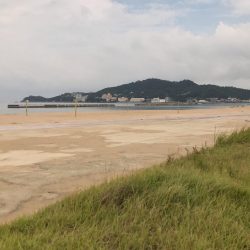 飲ませでマゴチゲット！