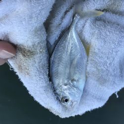 台風後メッキは!?