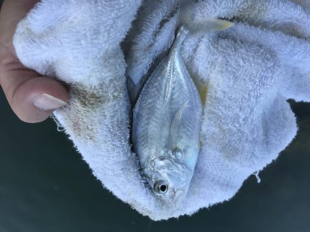 台風後メッキは!?