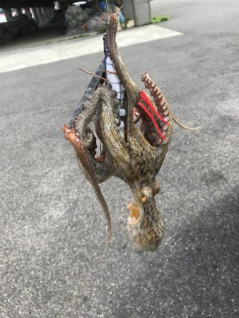 オクトパッシング