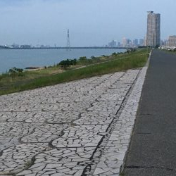 久々にチニング