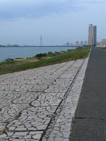 久々にチニング