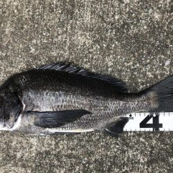 イチノ兄弟、釣果！