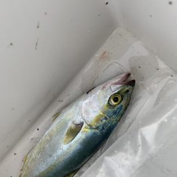 とりあえず当たりあり