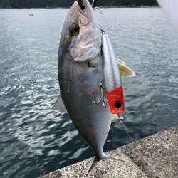 まさかの?!5種目