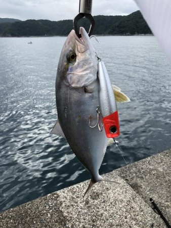 まさかの?!5種目