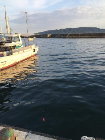 ファミリーサビキ