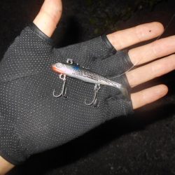 UK BAIT15でヒット