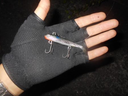 UK BAIT15でヒット