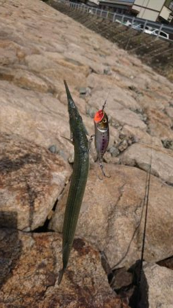 水面炸裂！！チヌトップ