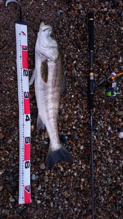 波打ち際の攻防戦。〜いい引きしましたぁ〜！…