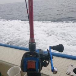 たこ、タコ、蛸！