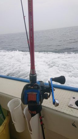 たこ、タコ、蛸！