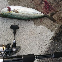 朝マズメ  ライトショアジギング