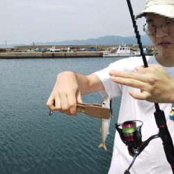 沼島でライトゲーム