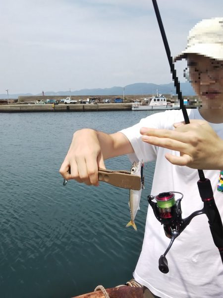 沼島でライトゲーム