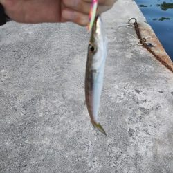 沼島でライトゲーム2