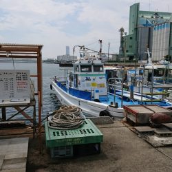 泉佐野一文字でフカセ釣り