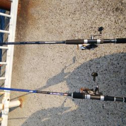 成長したツバス狙い