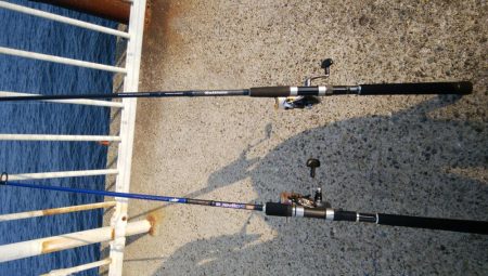 成長したツバス狙い