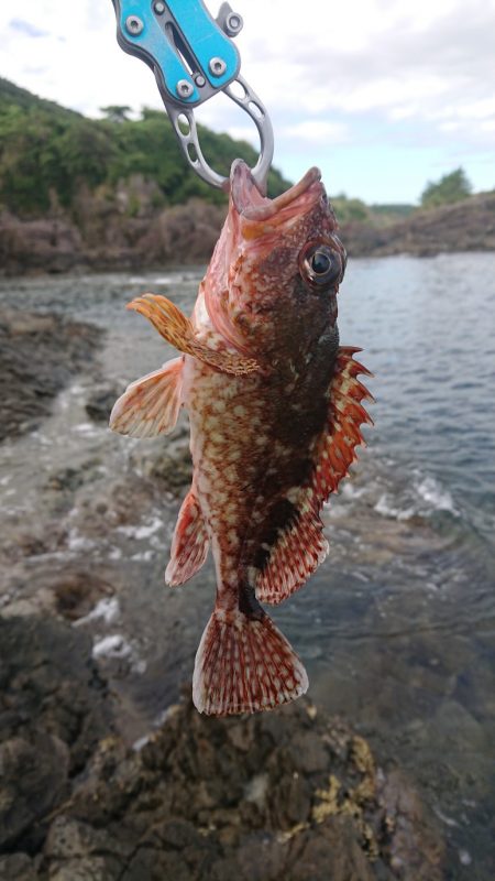 熱中症に気をつけよう