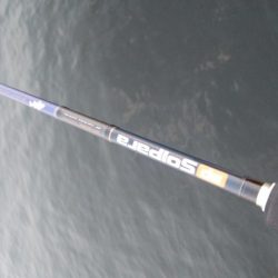 ツバッシング＆タチウオを