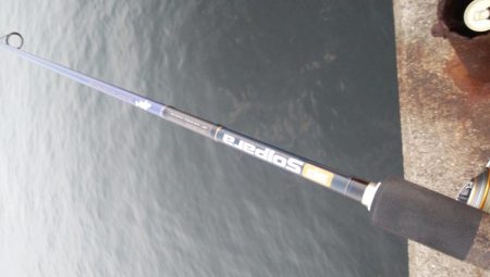 ツバッシング＆タチウオを