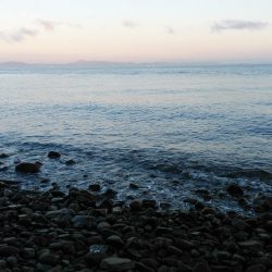 ショアジギでサワラ、マダイ