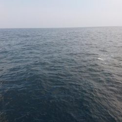 サイズは小さいです。