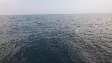 サイズは小さいです。