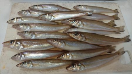 キス復活の兆し